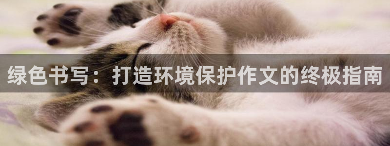 jdb电子飞鸟派对豪华版
