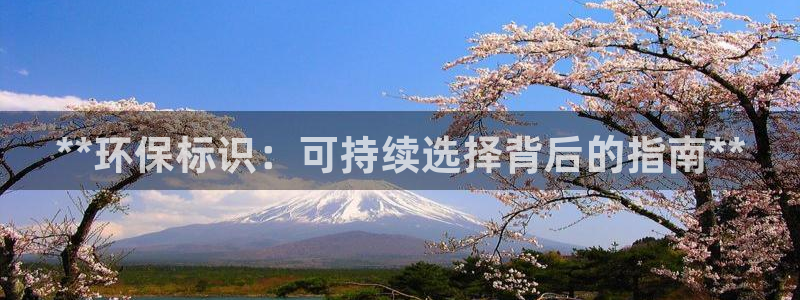 jdb电子体验