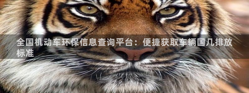 jdb电子如何准确的抓住免费游戏