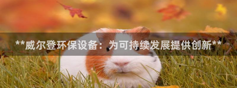 jdb电子如何准确的抓住免费游戏