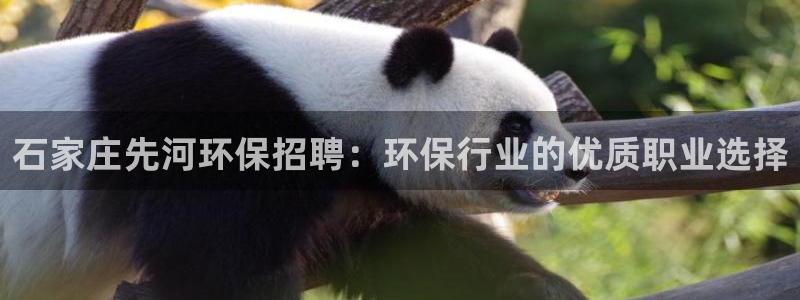 jdb平台是哪个公司