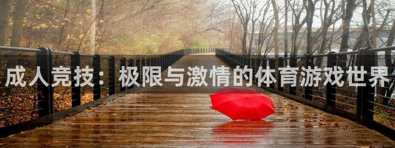 谈球吧