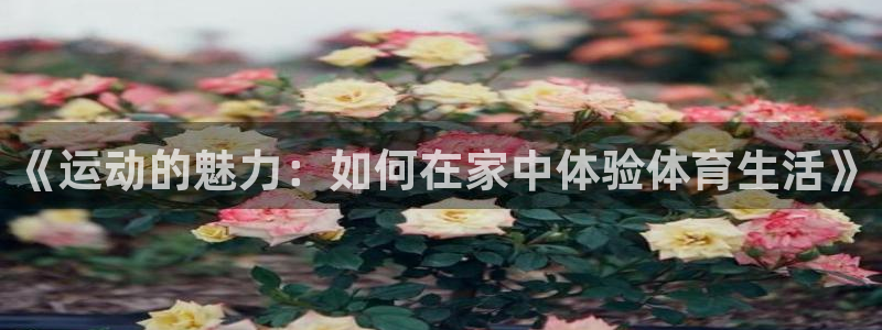 谈球吧