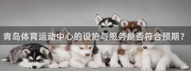 谈球吧体育官网