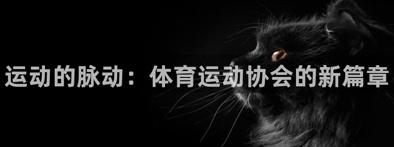 谈球吧体育