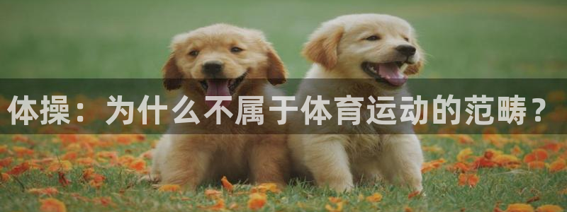 谈球吧体育官网