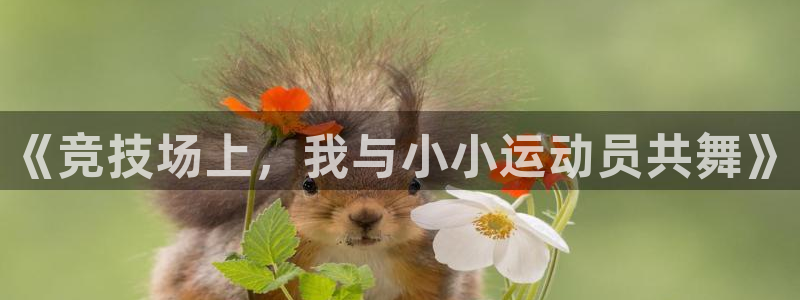 谈球吧