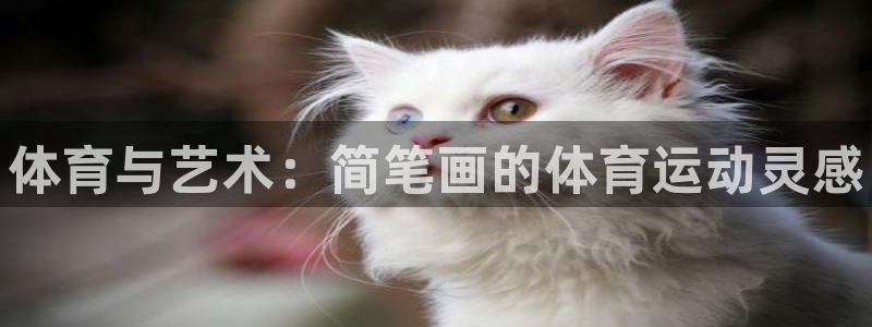 谈球吧体育官网