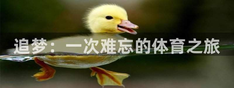 谈球吧体育官网