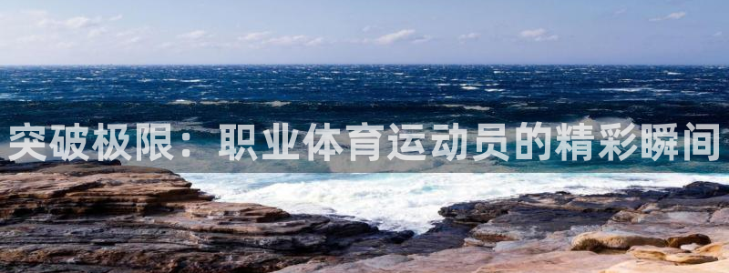 谈球吧体育官网