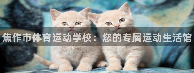 谈球吧
