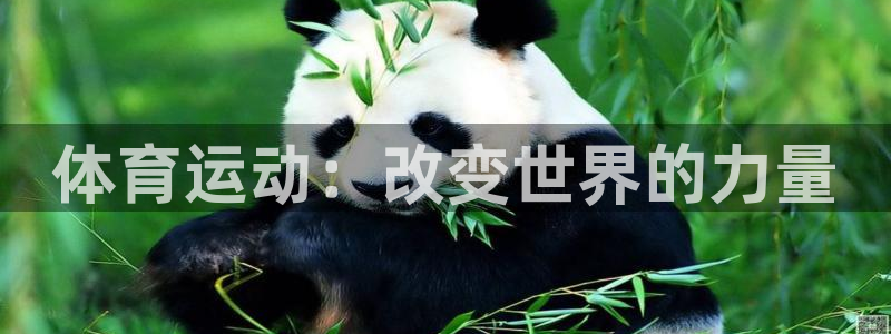 谈球吧体育官网