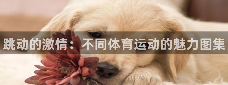 谈球吧体育