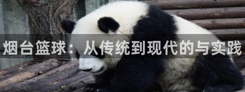 谈球吧体育官网