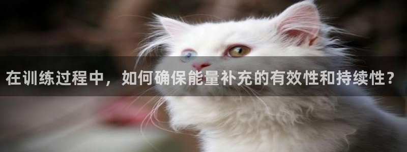 谈球吧体育