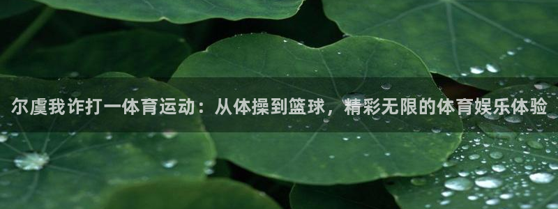 谈球吧