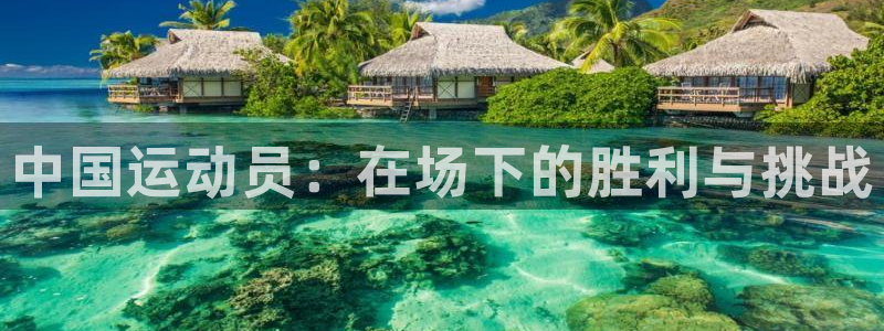 谈球吧