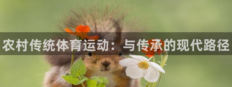 谈球吧体育