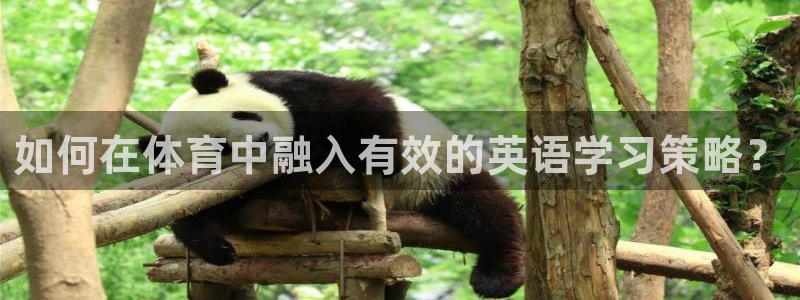 谈球吧
