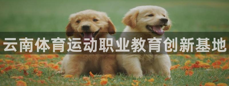 谈球吧