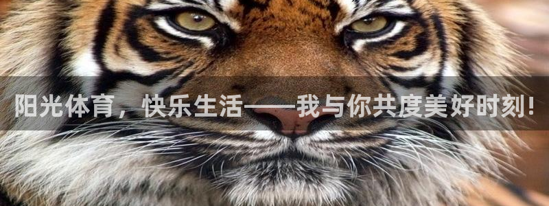 谈球吧体育官网