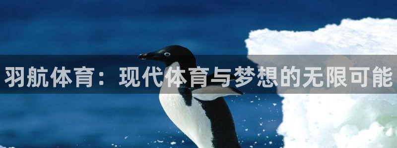 谈球吧