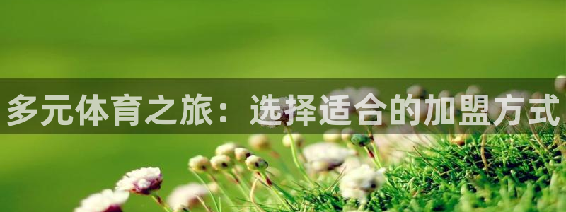 谈球吧体育官网