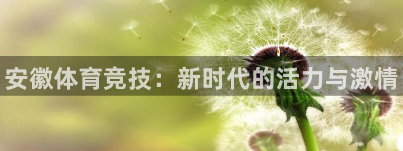 谈球吧
