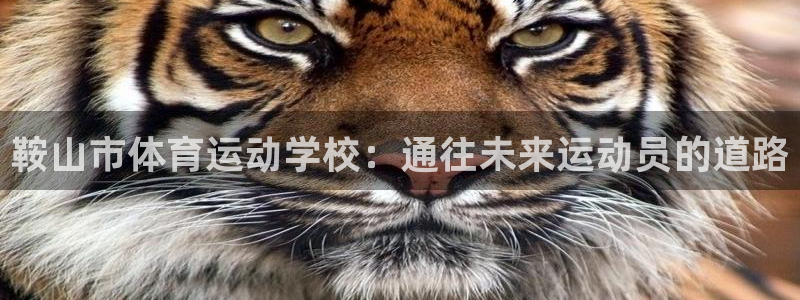 谈球吧体育