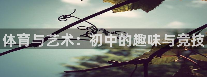 谈球吧