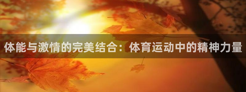 谈球吧体育官网