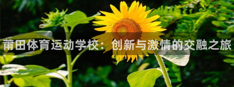 谈球吧体育官网
