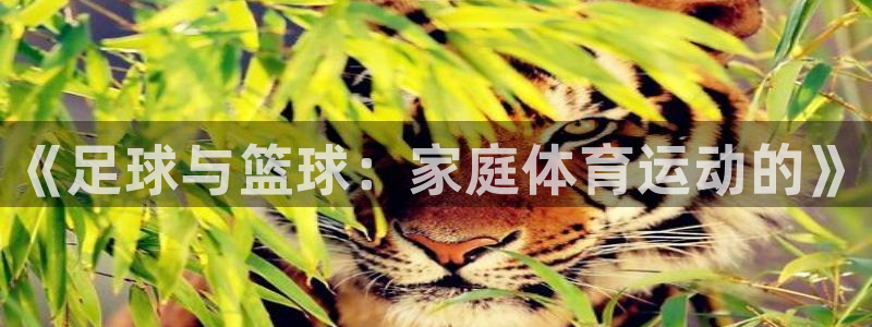 谈球吧