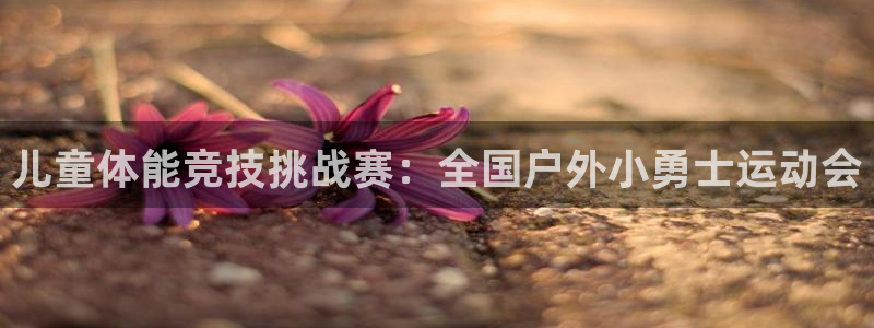 谈球吧