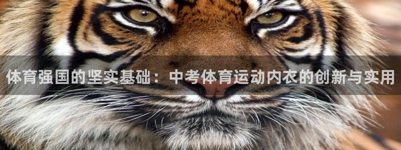 谈球吧