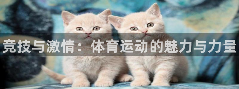 谈球吧体育官网