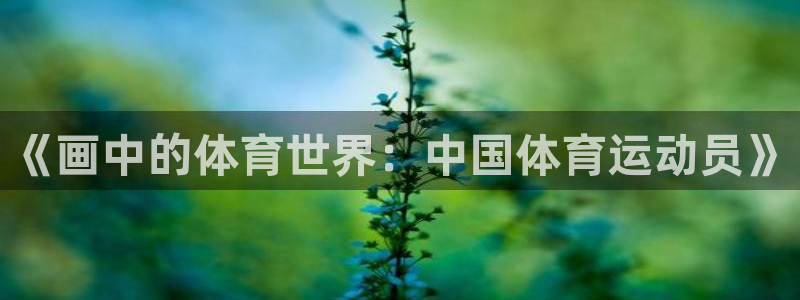 谈球吧体育官网
